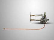 ȼ�����